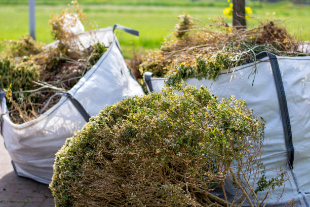 Best Yard Waste Removal  in Boyes Hot Springs, CA